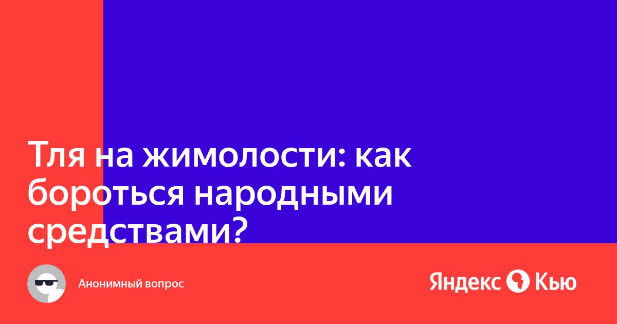 Тля на жимолости: как бороться народными средствами?» — Яндекс Кью